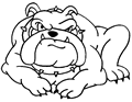 Disegni animali: bulldog