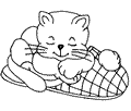 Disegni animali: disegno gatto