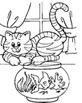 Disegni animali: gatto