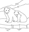 Disegni animali: orsetti