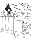 Baby Looney Tunes